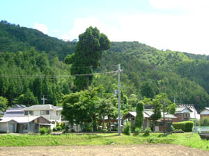 吉備津神社全景