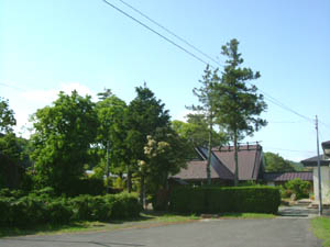 大森神社全景