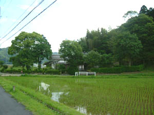 八幡宮全景