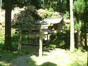 大国玉神社全景