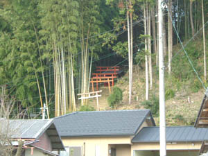 稲荷神社全景