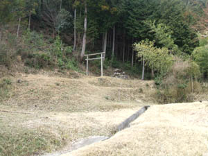 金刀比羅神社全景