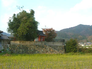 住頭神社全景