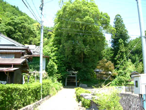 治宮神社全景