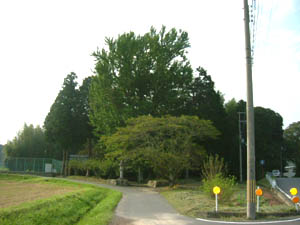 籔田神社全景