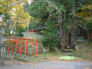 導観稲荷神社全景