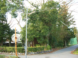 熊野神社全景