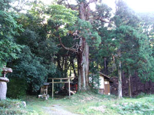 岩山神社全景