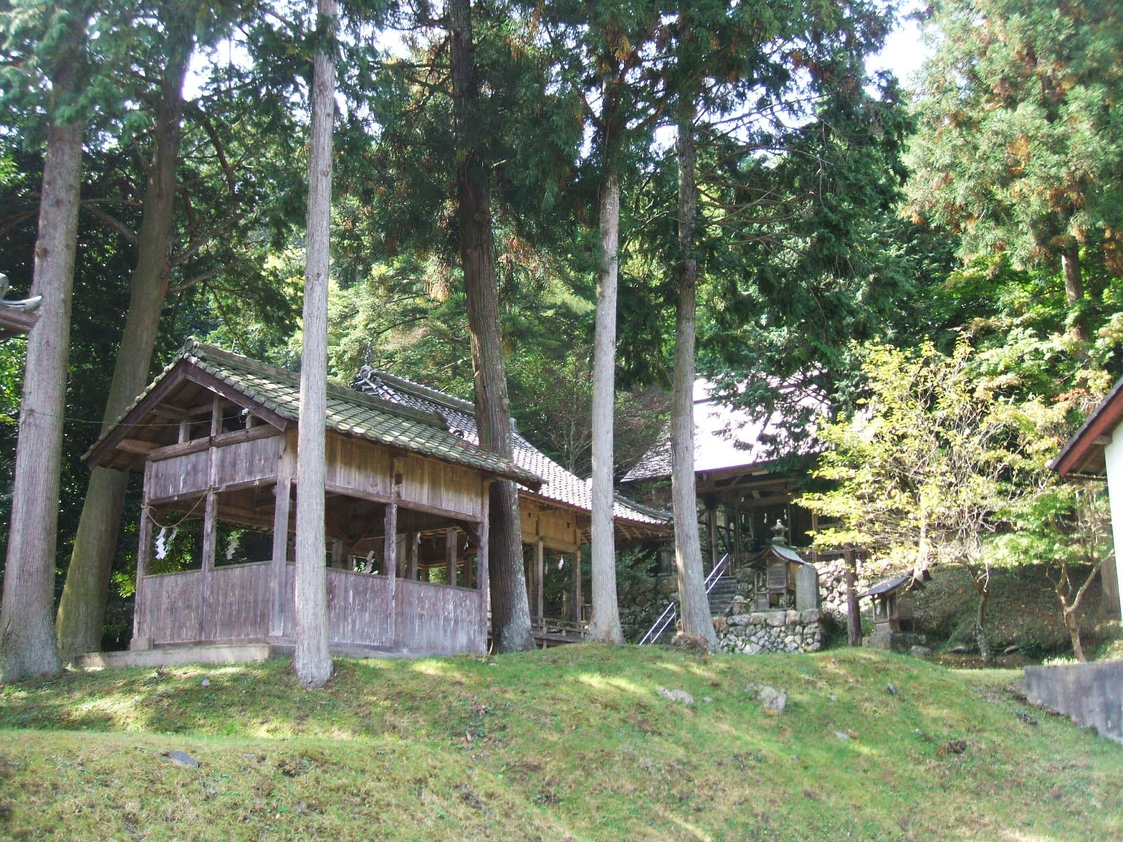 大山咋神社全景