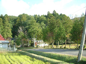 能満神社全景