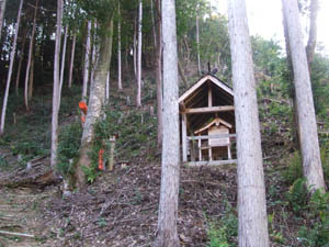 八幡宮全景