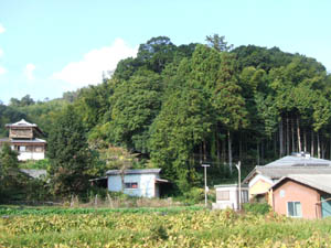 諏訪神社全景