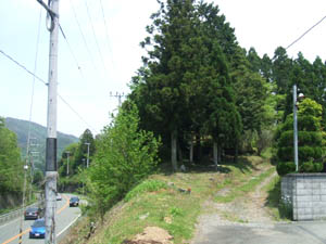 八幡神社全景