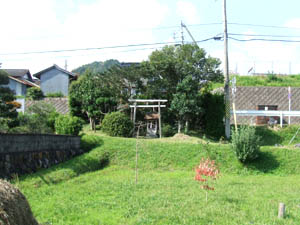 諏訪神社全景