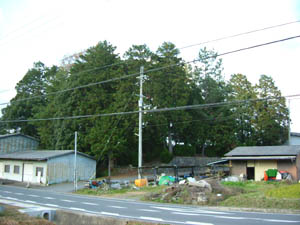 愛宕神社全景