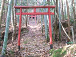 稲荷神社鳥居