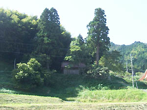 熊野神社全景