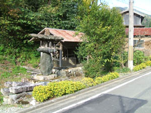 山神社全景