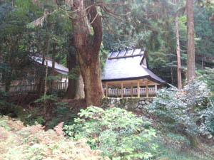 熊野神社全景