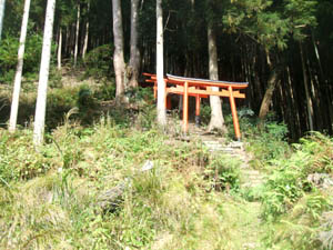 稲荷神社全景