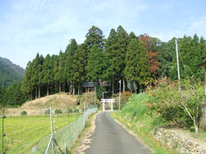 八幡神社全景