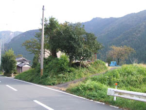 稲荷神社全景