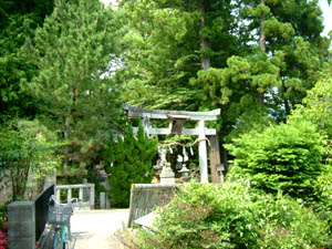 荒井神社全景