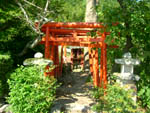 春本稲荷神社鳥居