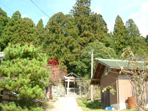 八幡神社全景