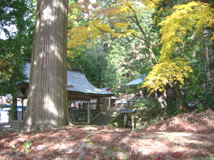 八幡神社全景