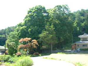 稲荷神社全景