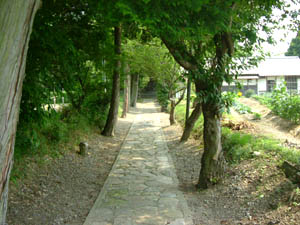 宗神社参道