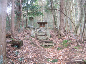 金刀比羅神社全景