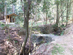 山神神社全景