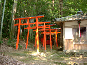 稲荷神社全景