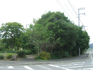 稲荷神社全景