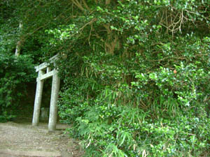 八幡宮全景