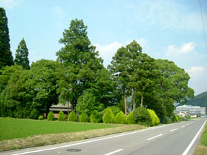 岡神社全景