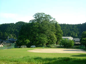 大辻神社全景