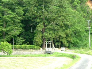 八幡神社全景