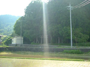 鳥羽田神社全景