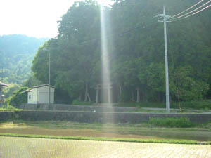 鳥羽田神社全景