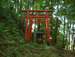 若宮稲荷神社鳥居