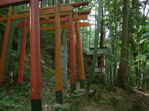 若宮稲荷神社全景