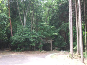 春日神社全景