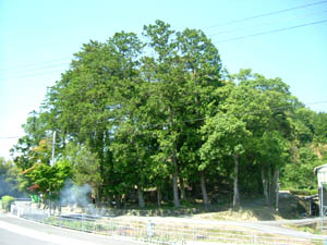 野家守神社全景